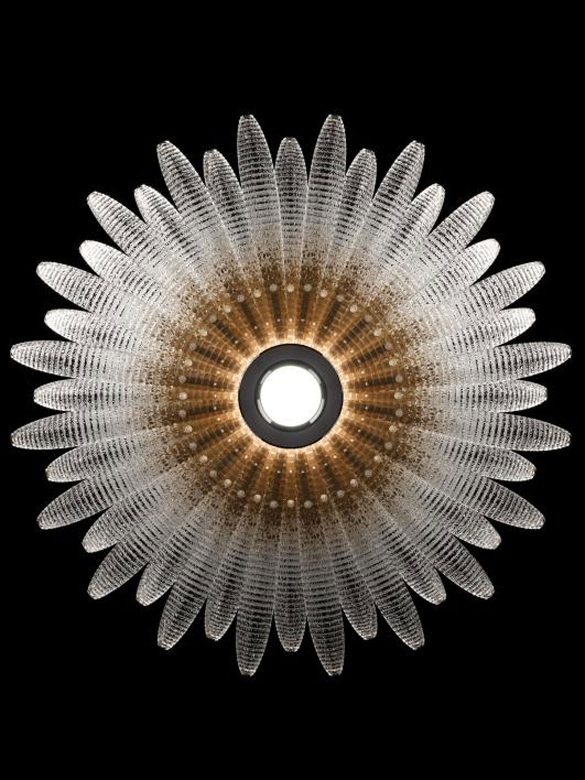 Valerio Aurelia Kronleuchter aus Glas Petal