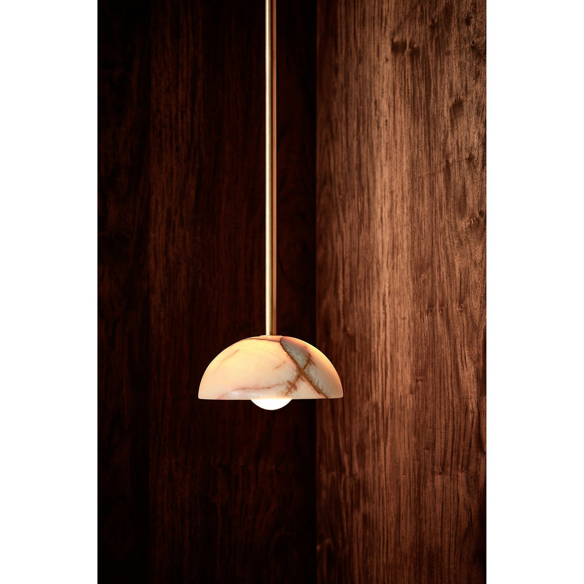Eronex zeitgenössische minimalistische Eleganz Pendelleuchte aus Messing mit Glaskolben