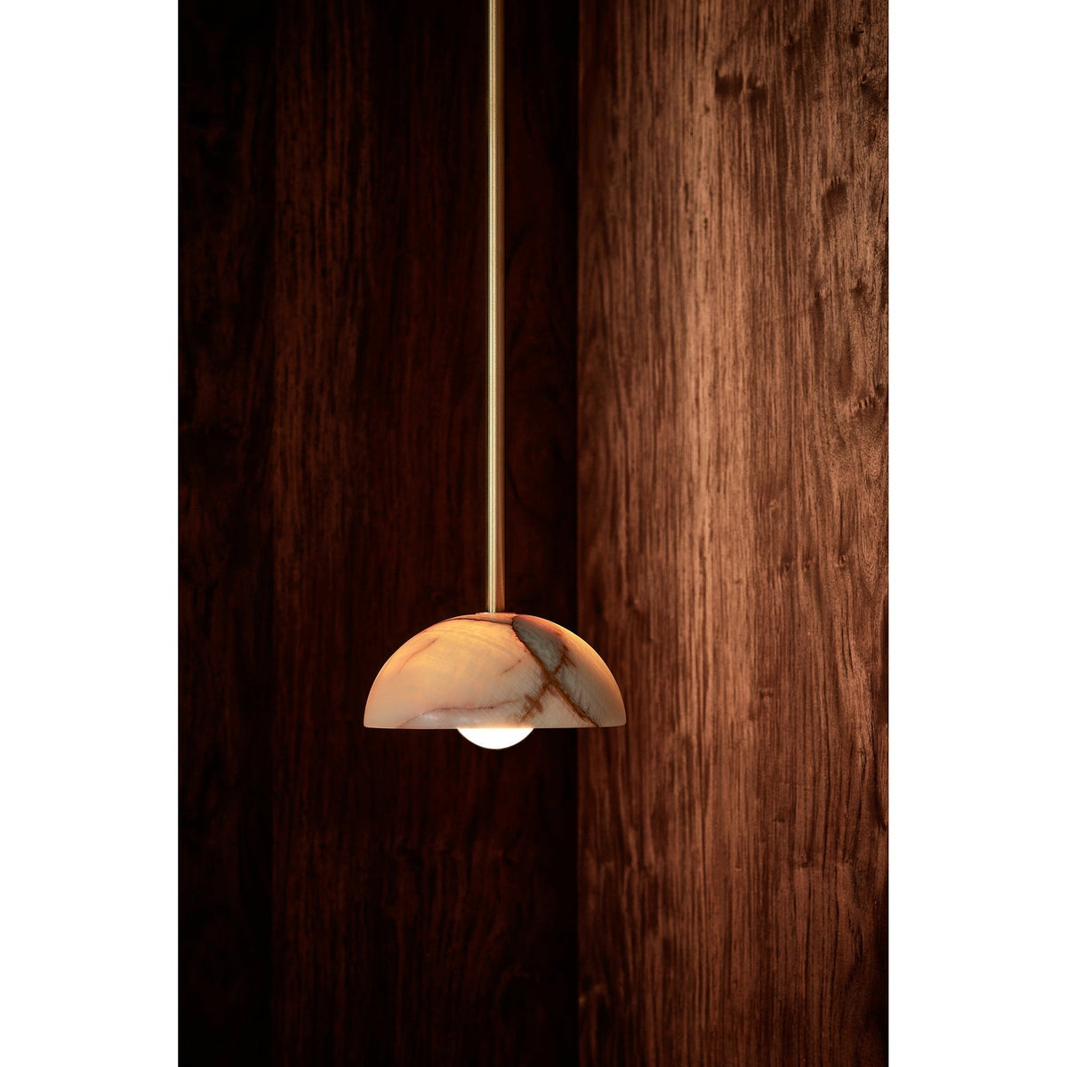 Eronex zeitgenössische minimalistische Eleganz Pendelleuchte aus Messing mit Glaskolben