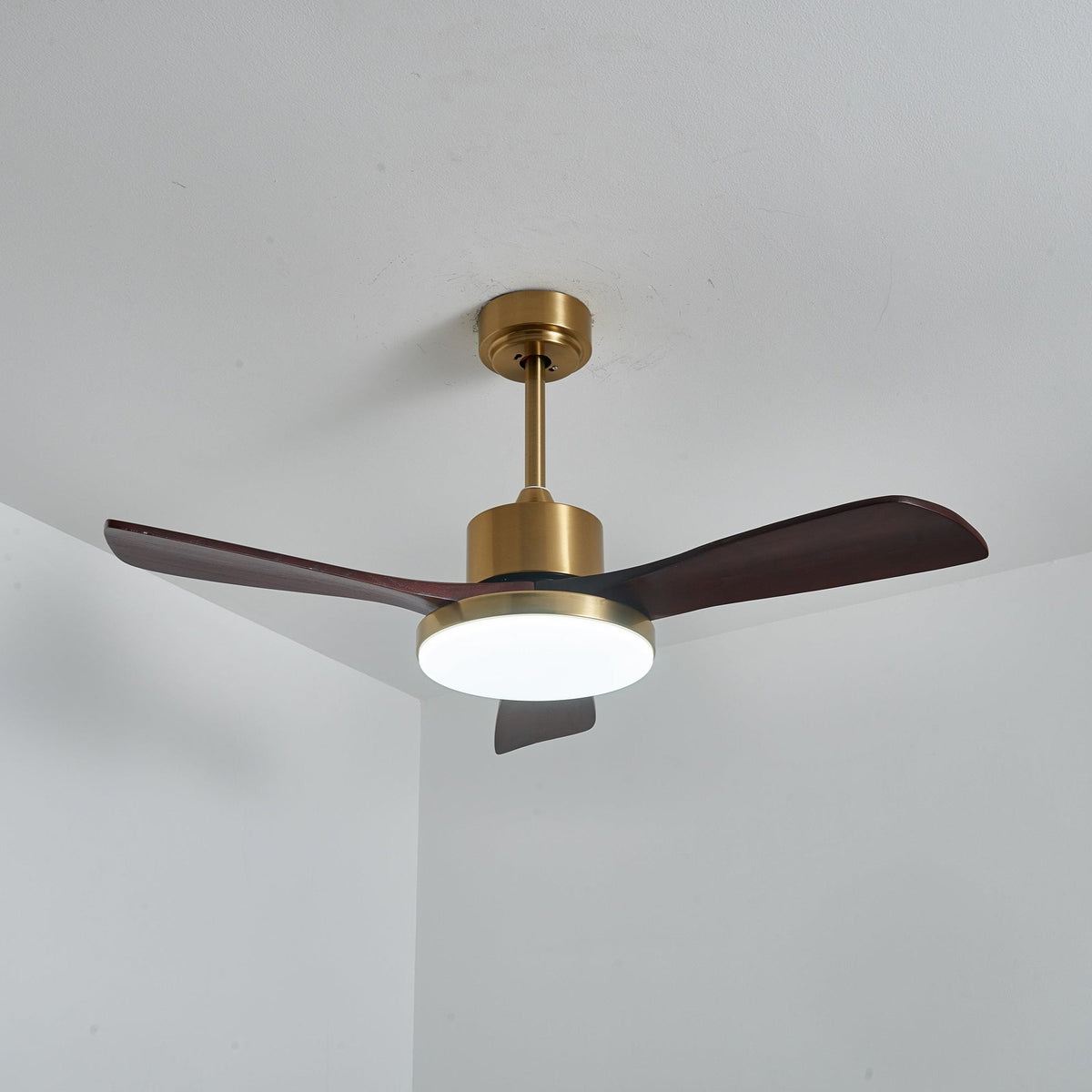 Xen zeitgenössische Deckenventilator mit Beleuchtung aus Holz