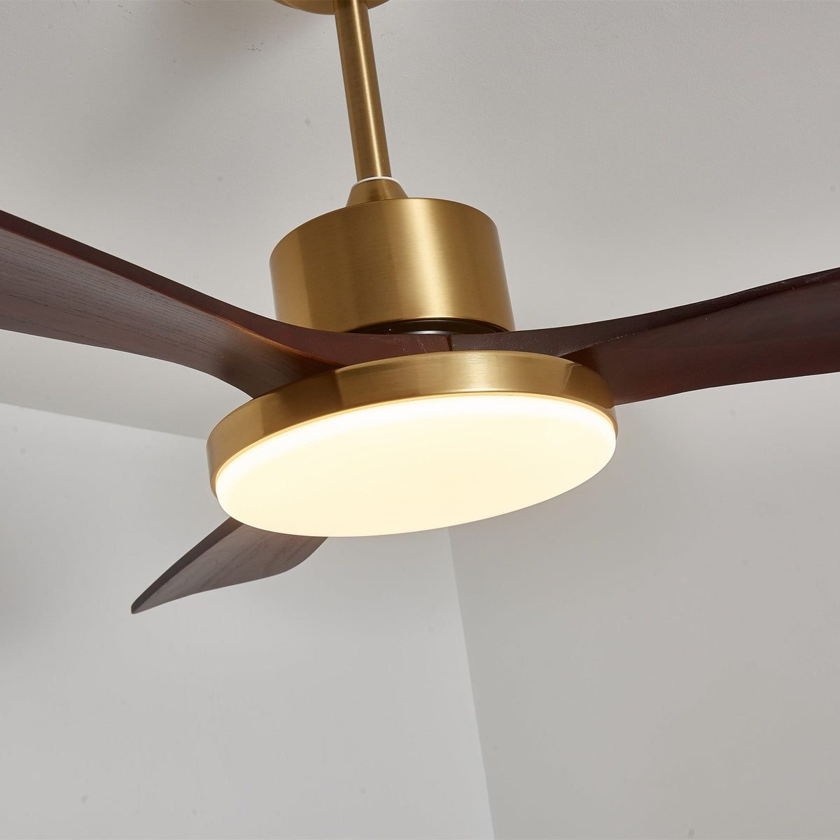Xen zeitgenössische Deckenventilator mit Beleuchtung aus Holz