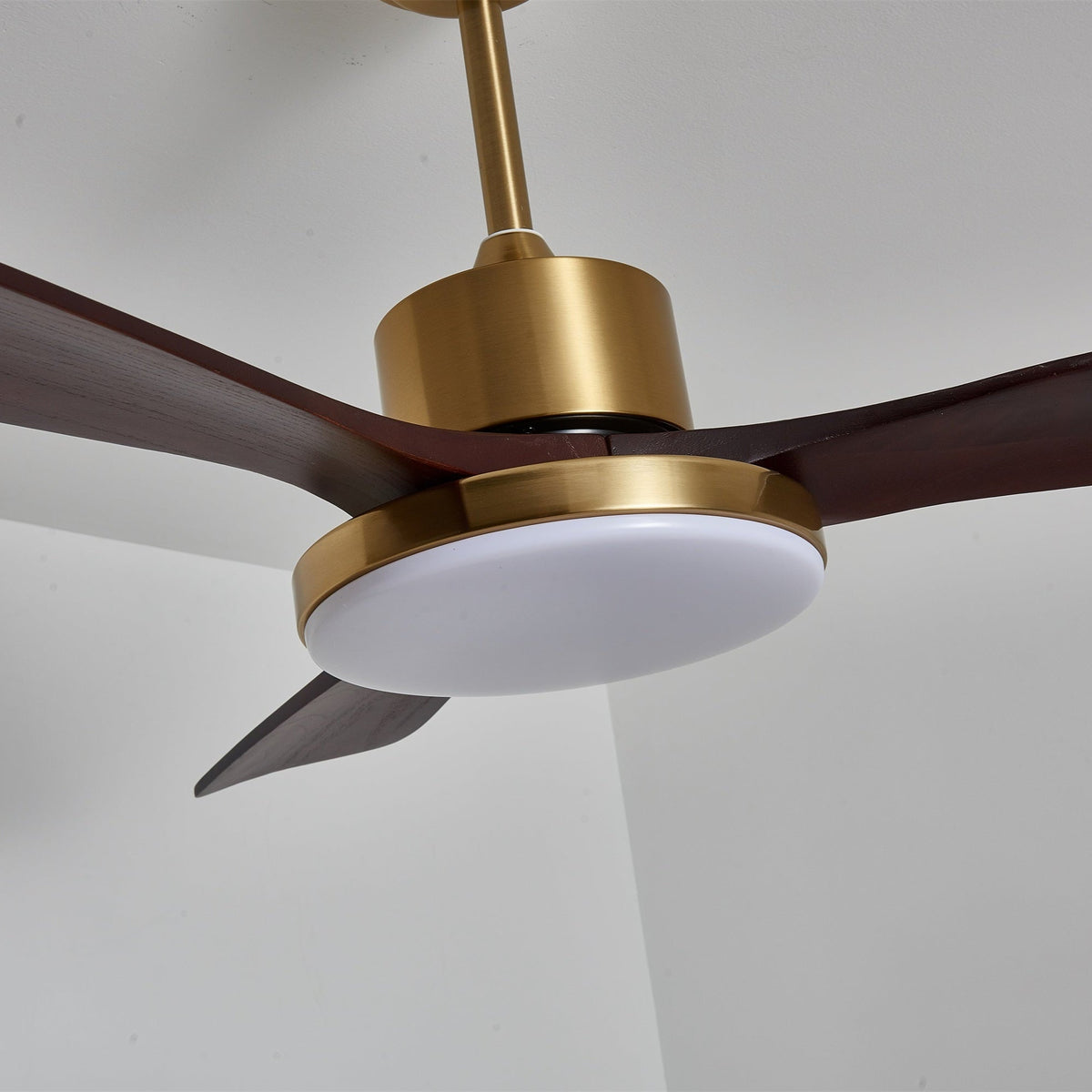 Xen zeitgenössische Deckenventilator mit Beleuchtung aus Holz
