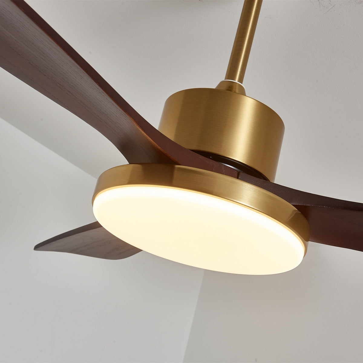 Xen zeitgenössische Deckenventilator mit Beleuchtung aus Holz