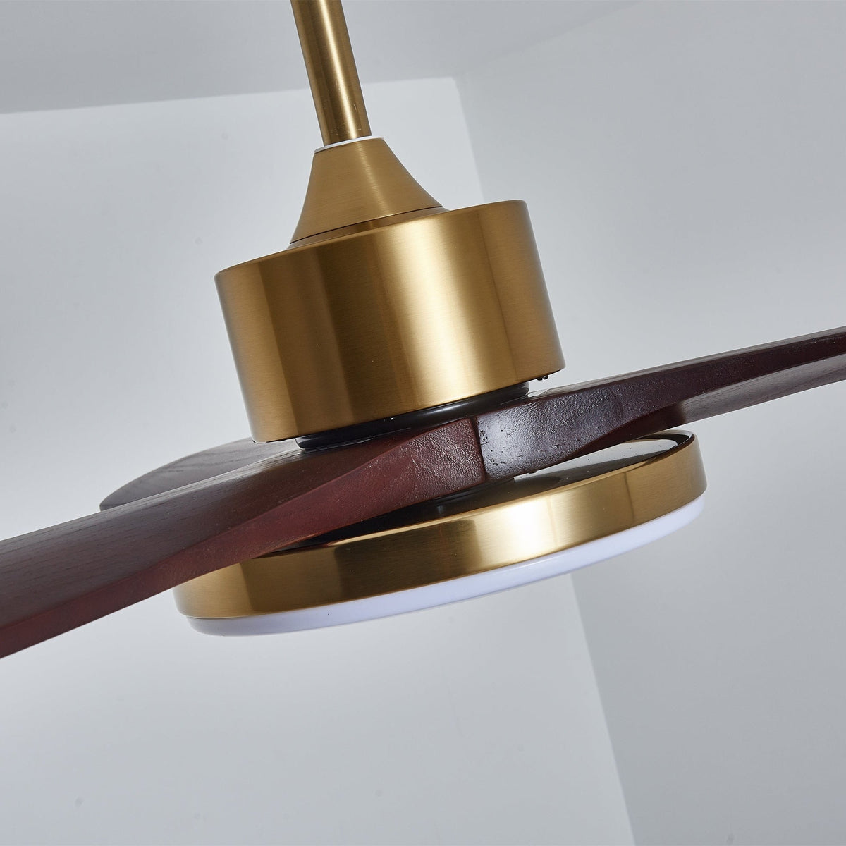 Xen zeitgenössische Deckenventilator mit Beleuchtung aus Holz