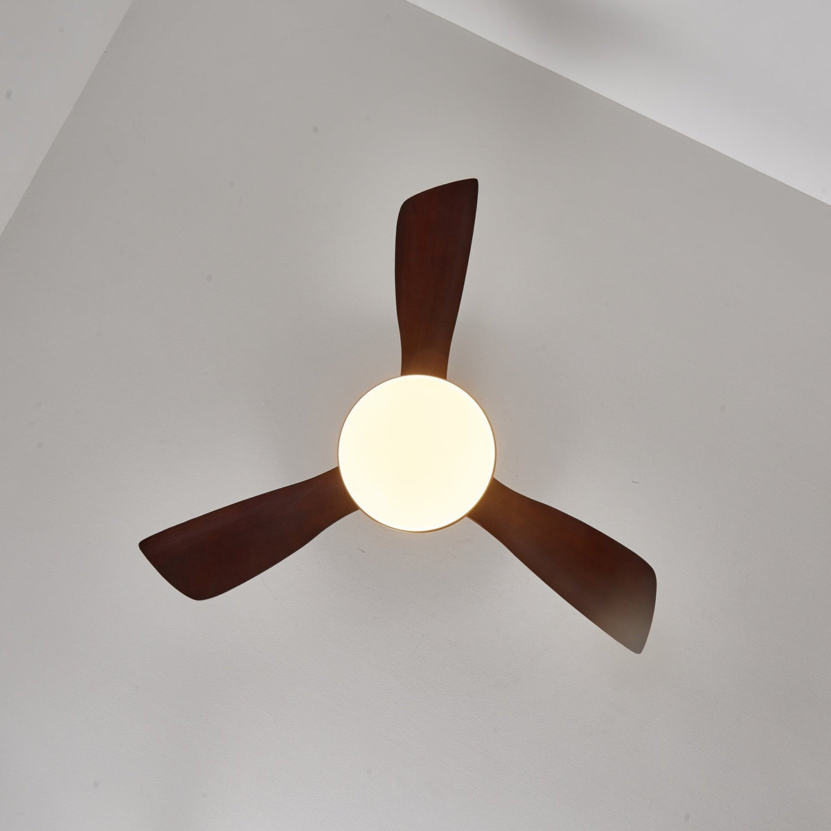 Xen zeitgenössische Deckenventilator mit Beleuchtung aus Holz