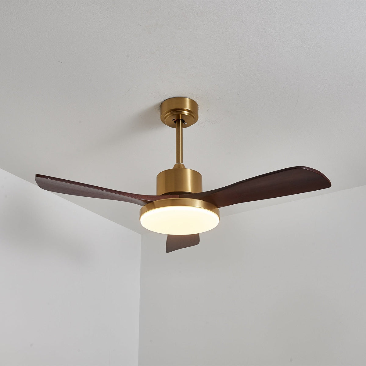 Xen zeitgenössische Deckenventilator mit Beleuchtung aus Holz