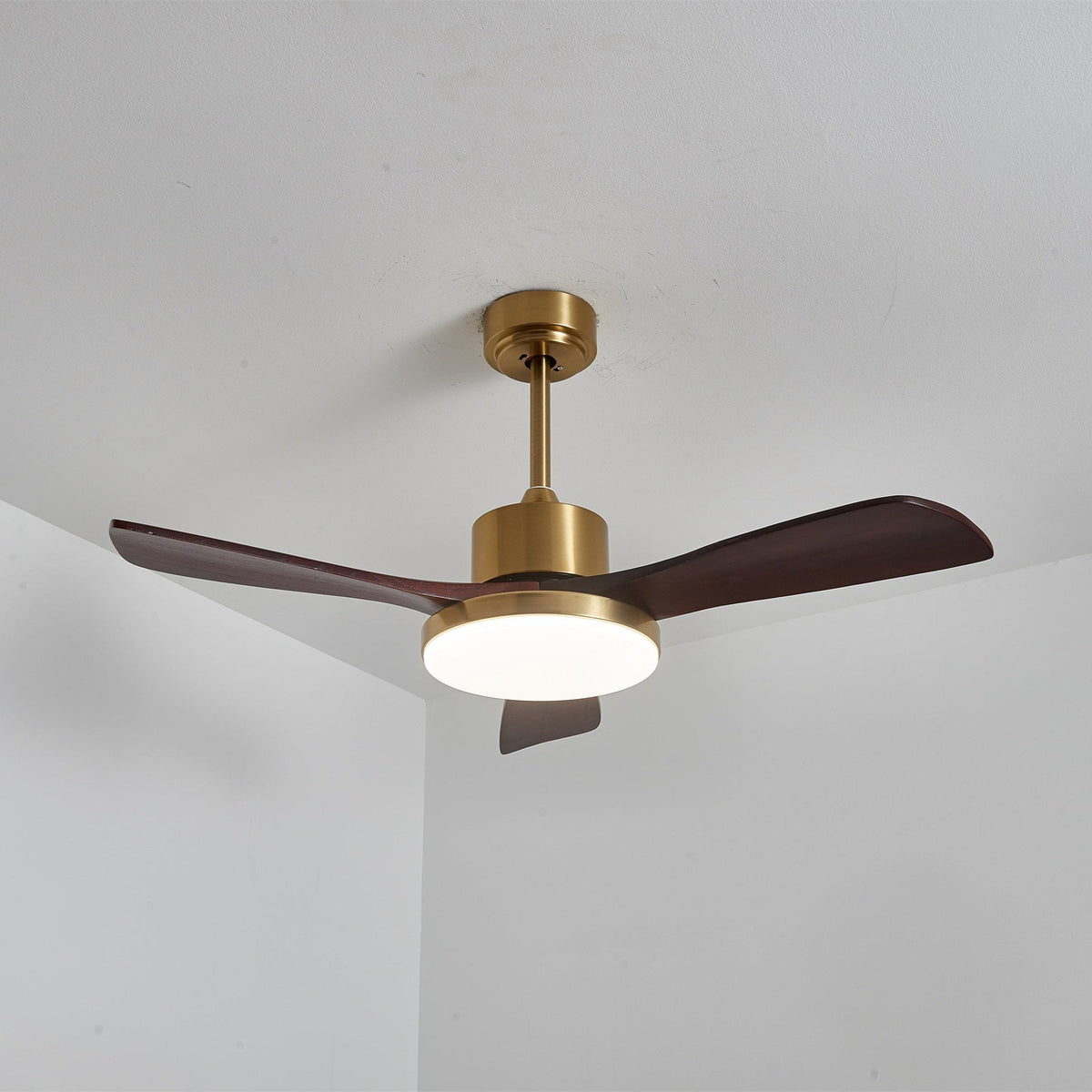 Xen zeitgenössische Deckenventilator mit Beleuchtung aus Holz