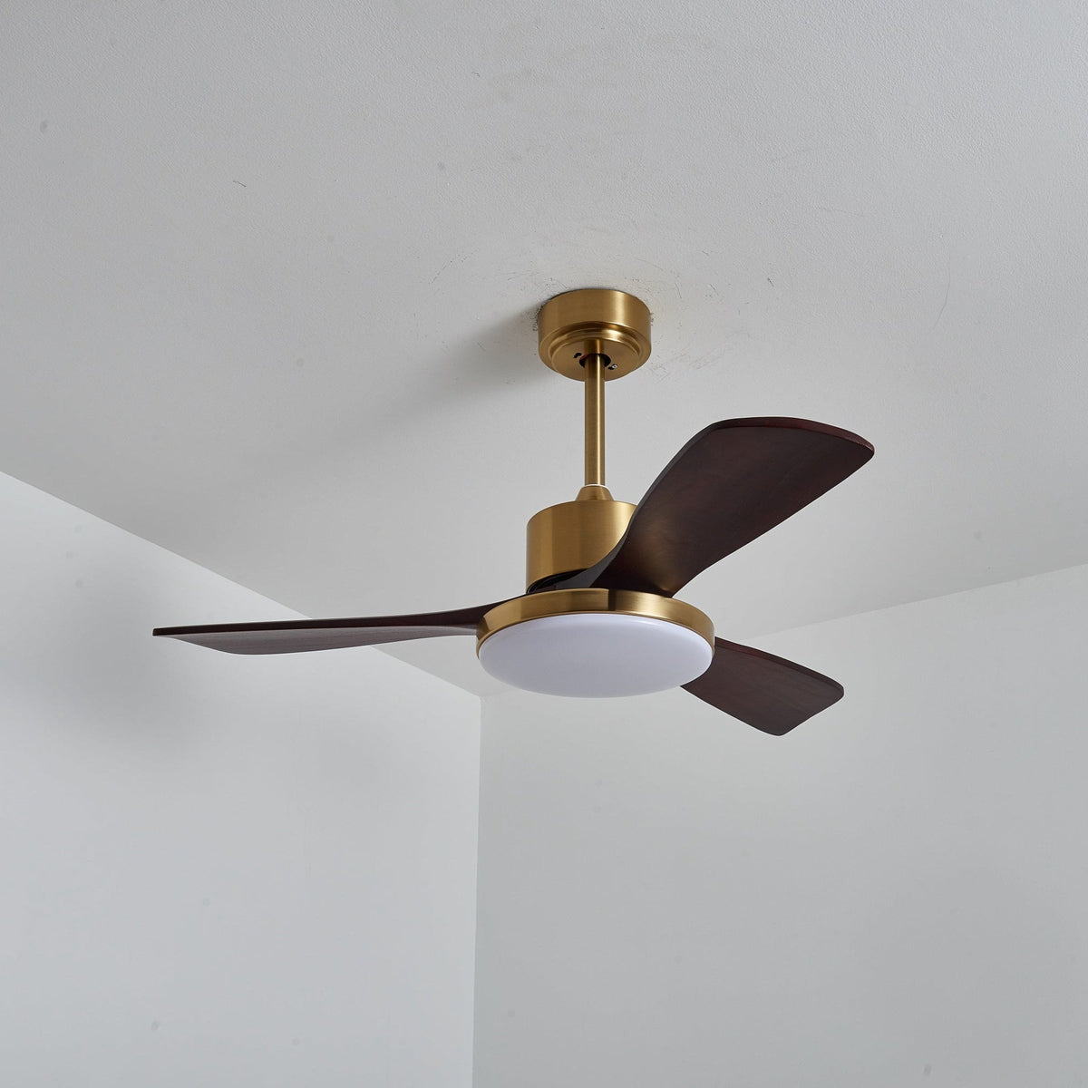 Xen zeitgenössische Deckenventilator mit Beleuchtung aus Holz
