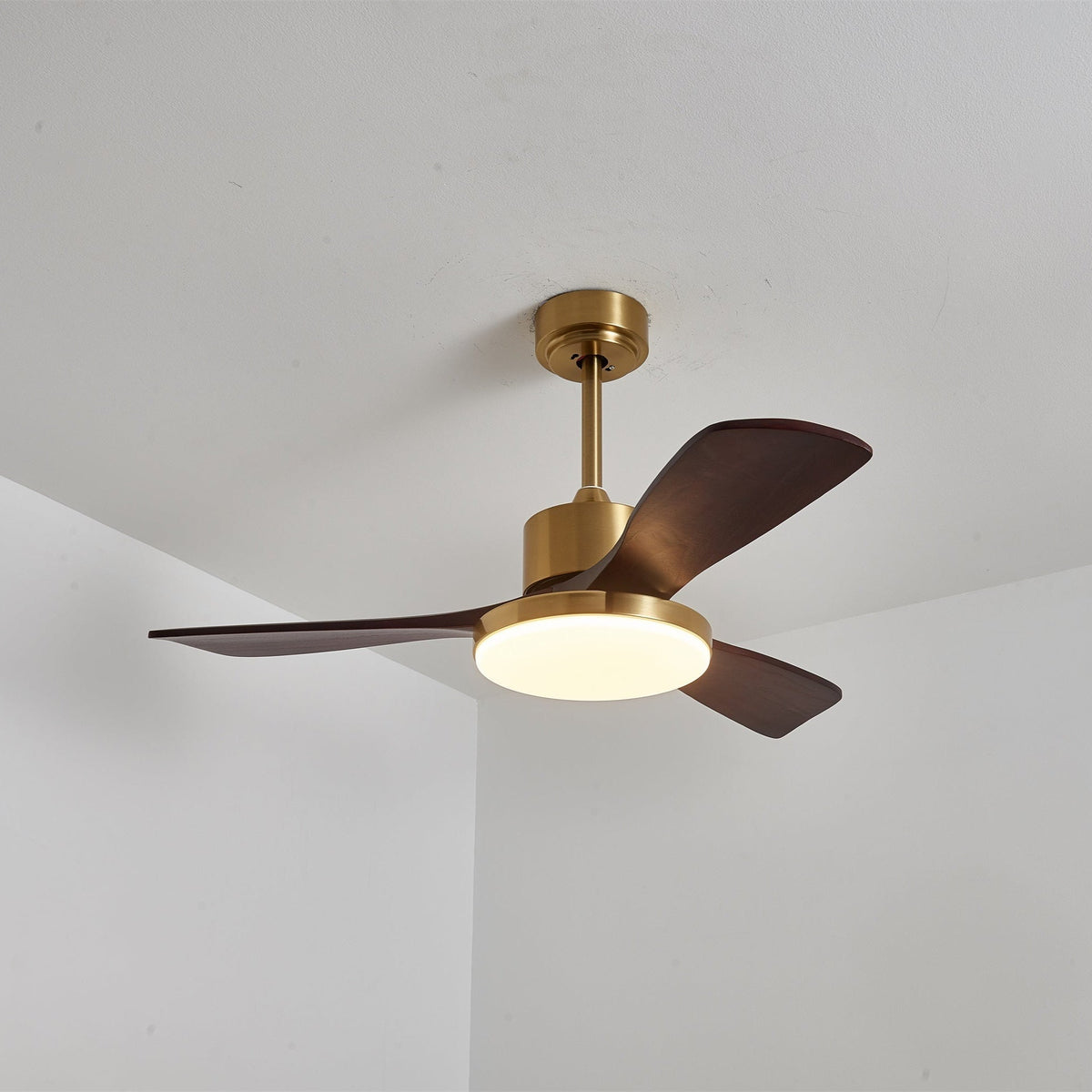 Xen zeitgenössische Deckenventilator mit Beleuchtung aus Holz