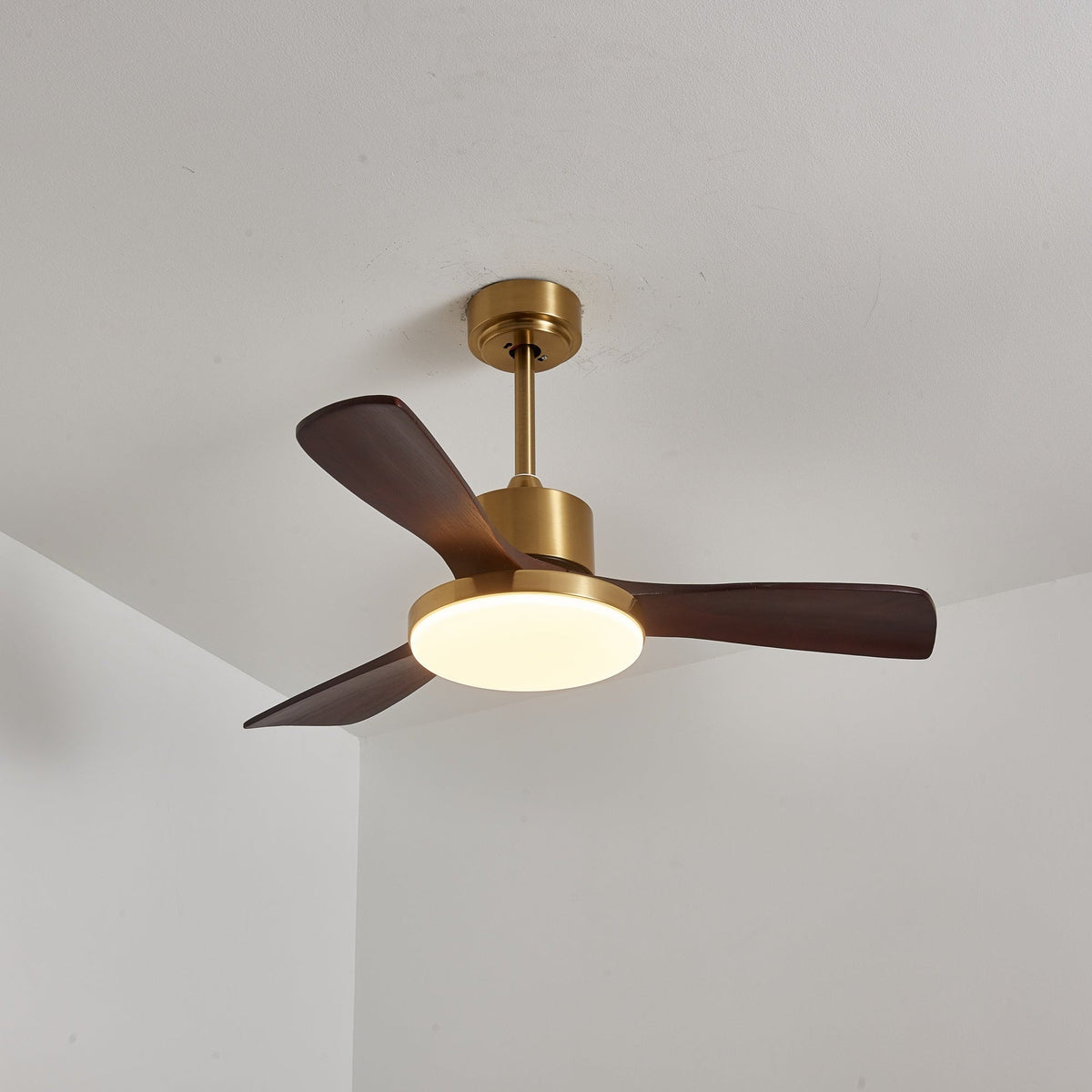 Xen zeitgenössische Deckenventilator mit Beleuchtung aus Holz