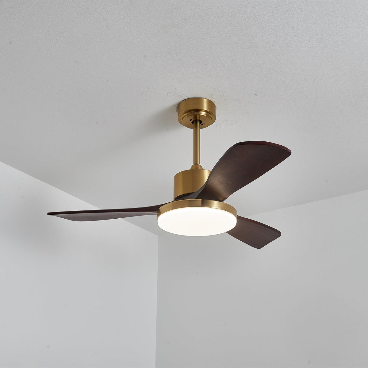 Xen zeitgenössische Deckenventilator mit Beleuchtung aus Holz