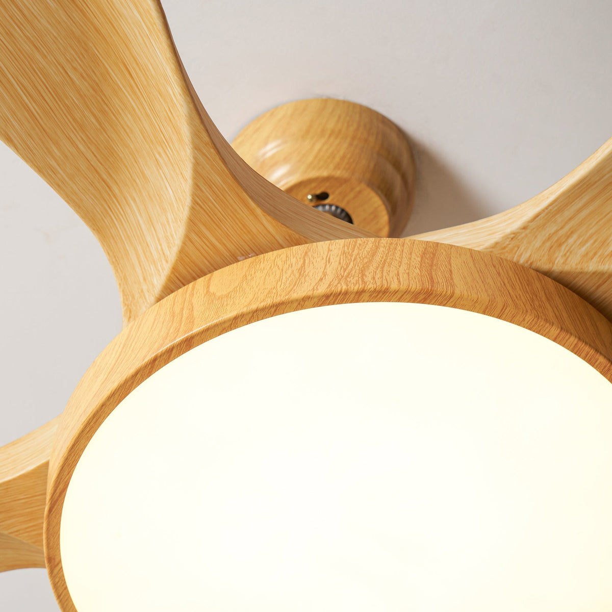 Teriinena Deckenventilator mit Beleuchtung
