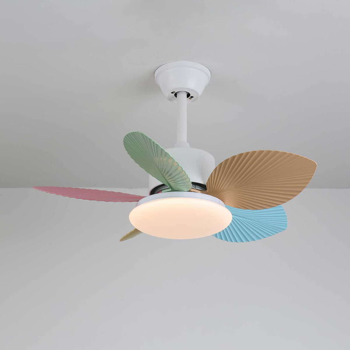 Celoia bunte Glas-Deckenventilator mit Beleuchtung