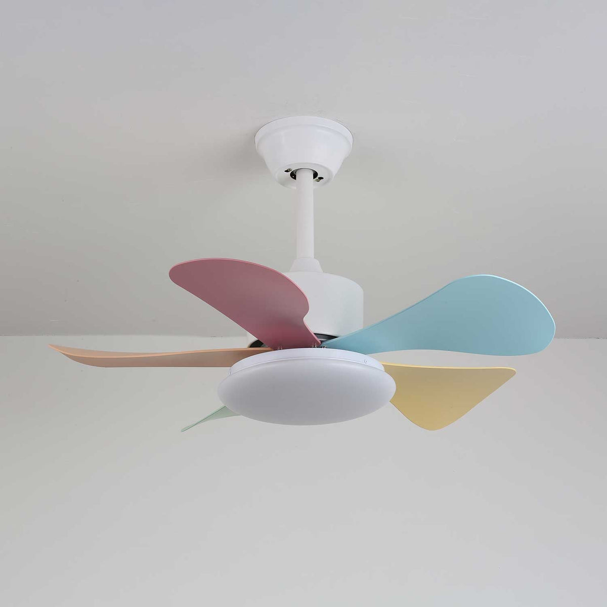 Celoia bunte Glas-Deckenventilator mit Beleuchtung
