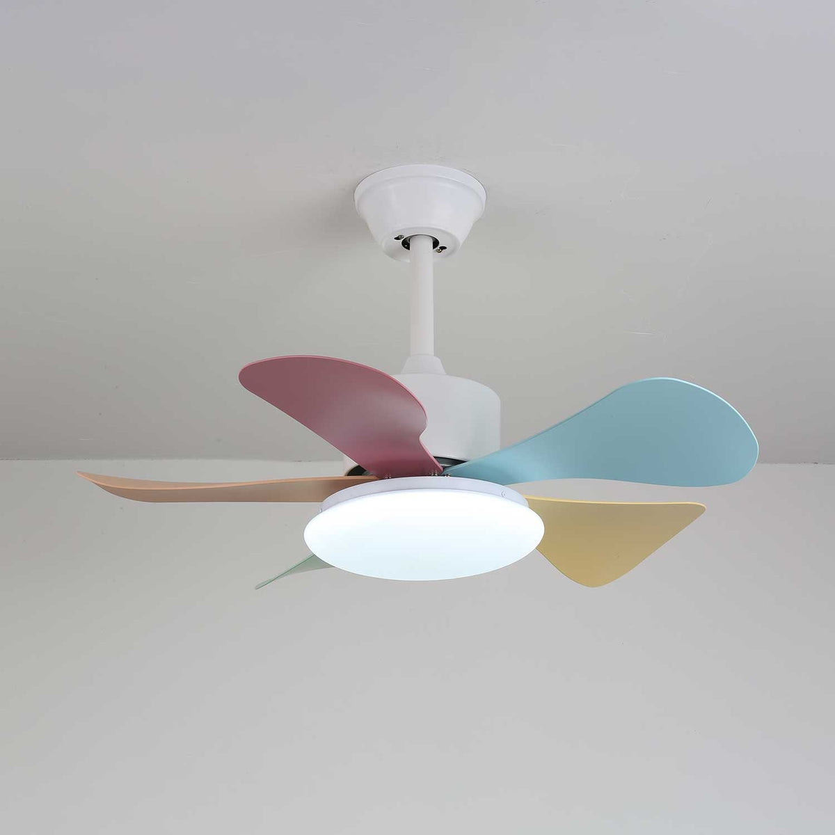 Celoia bunte Glas-Deckenventilator mit Beleuchtung