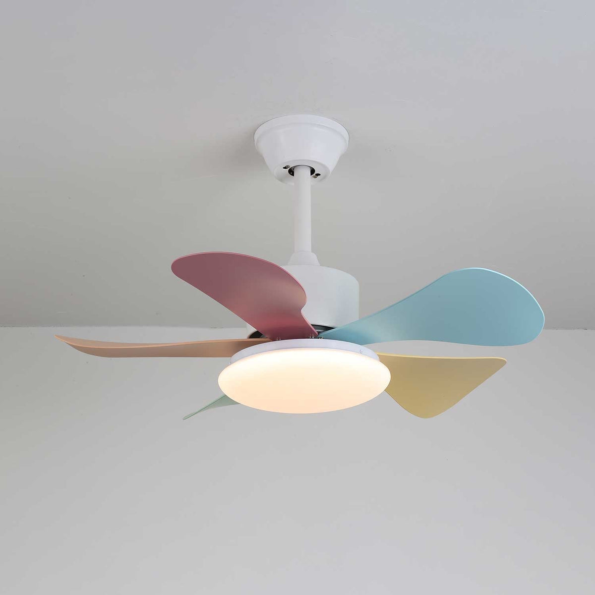 Celoia bunte Glas-Deckenventilator mit Beleuchtung