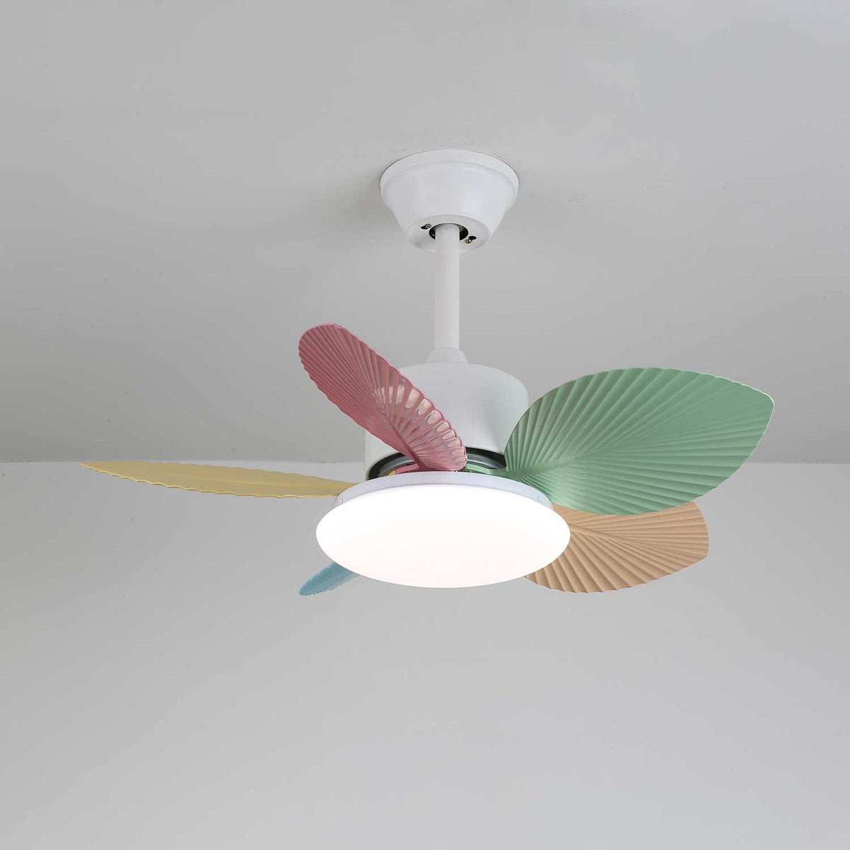 Celoia bunte Glas-Deckenventilator mit Beleuchtung