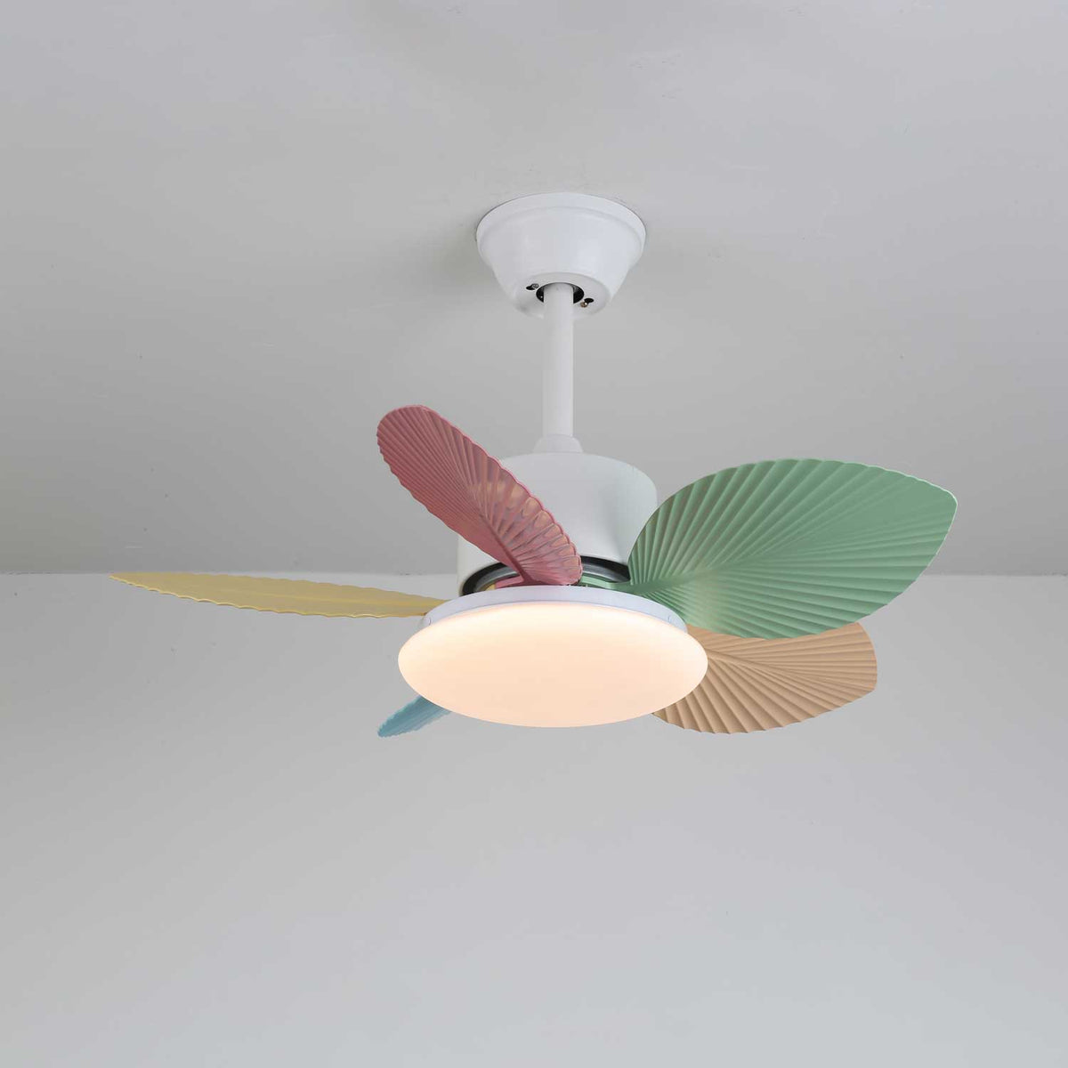 Celoia bunte Glas-Deckenventilator mit Beleuchtung