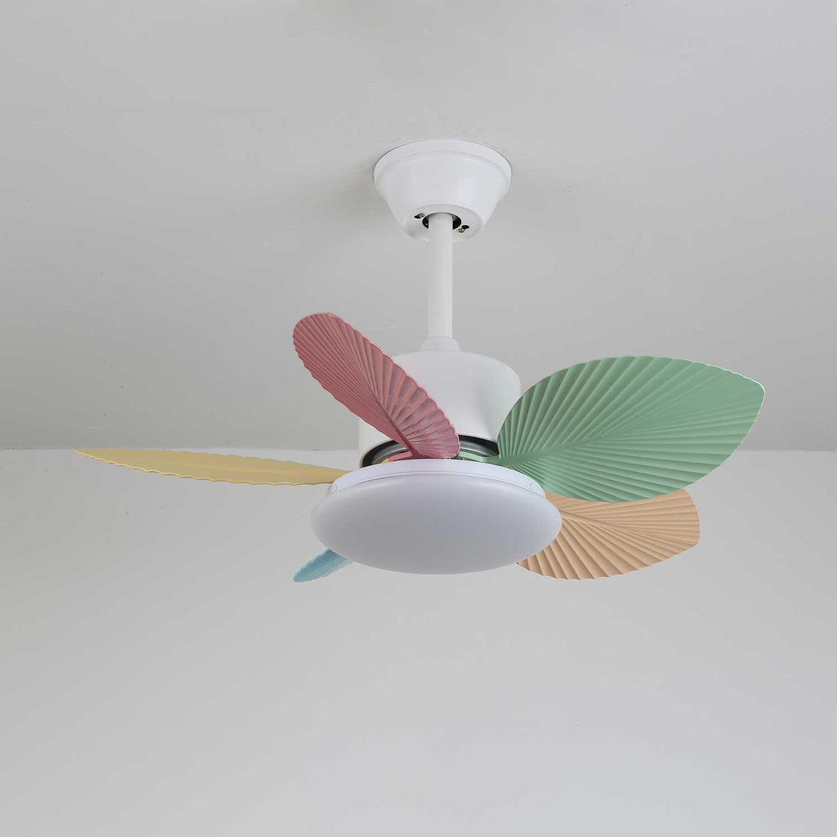 Celoia bunte Glas-Deckenventilator mit Beleuchtung