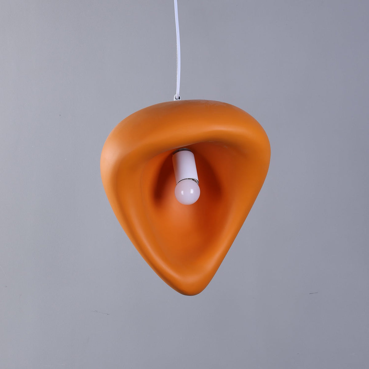 Renareria Premium zeitgenössische Kunst-Pendelleuchte