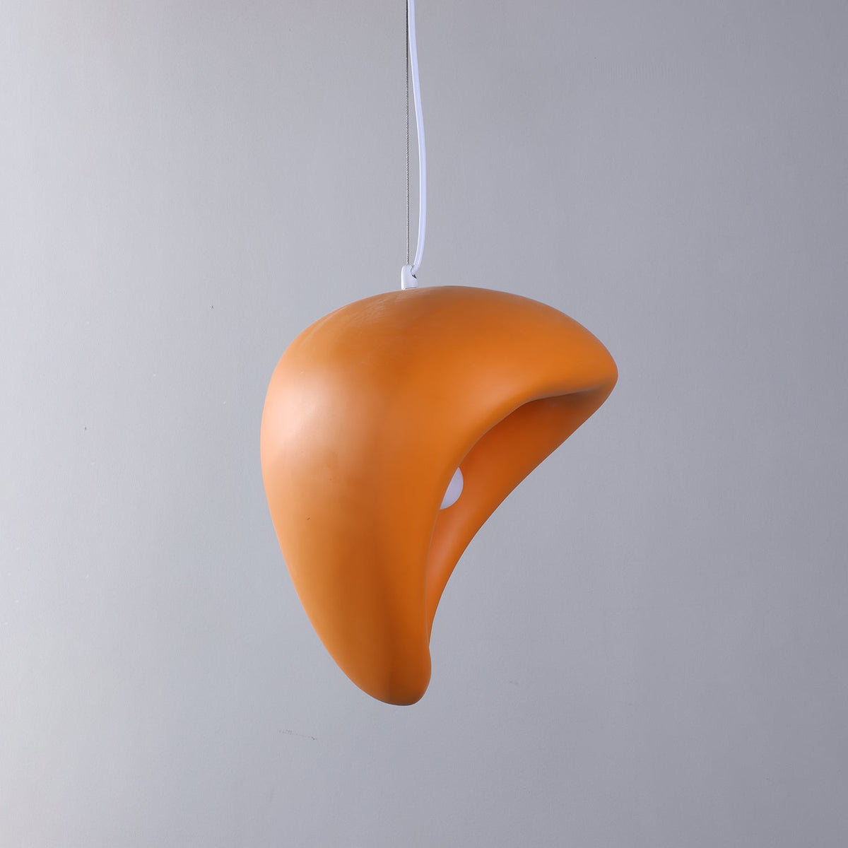 Renareria Premium zeitgenössische Kunst-Pendelleuchte
