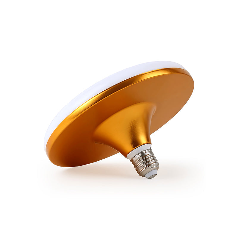 Elaisian LED Birne