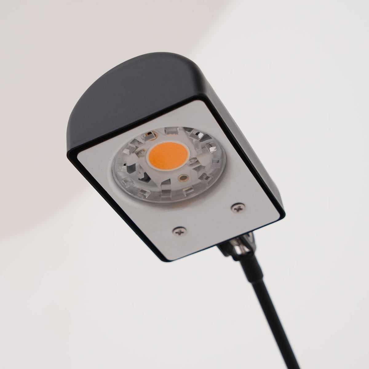 Daphine Stehleuchte