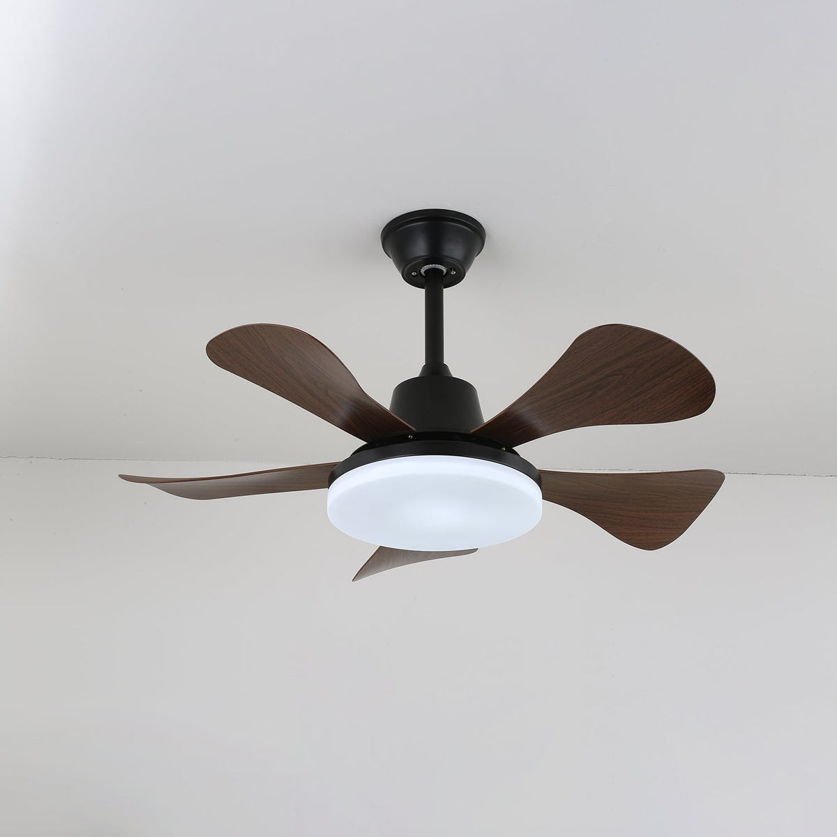 Aveline Deckenventilator mit Beleuchtung aus Holz-Holz