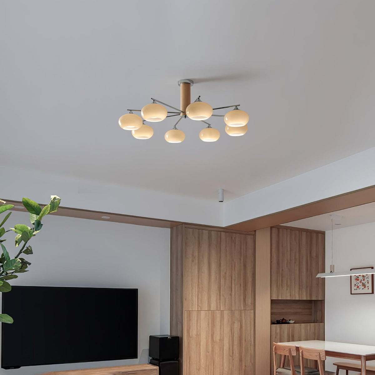 Srra Kronleuchter Persimmon Glas zeitgenössisch 8-Light