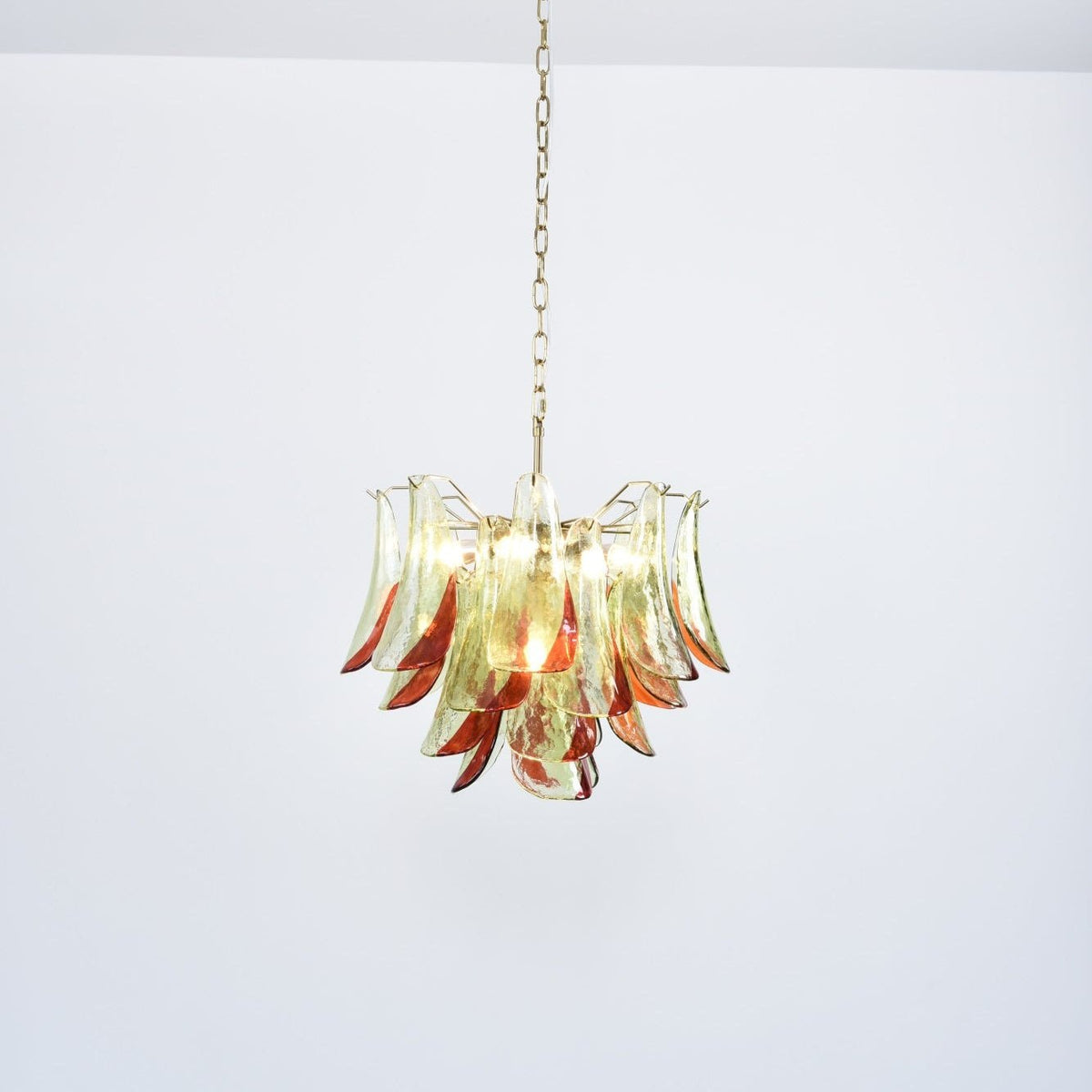 Celoraria Kronleuchter Murano-Glas-Blütenblätter Elegant