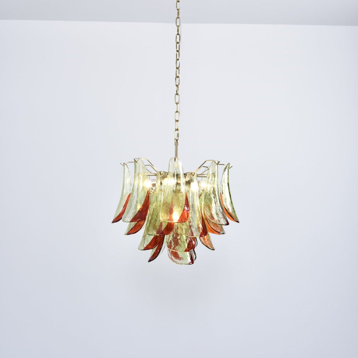 Celoraria Kronleuchter Murano-Glas-Blütenblätter Elegant