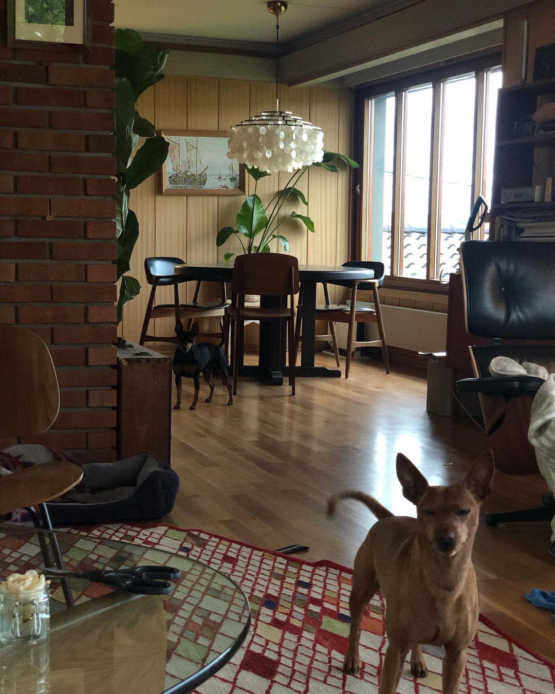Rivena Pendelleuchte Rund Schalenring