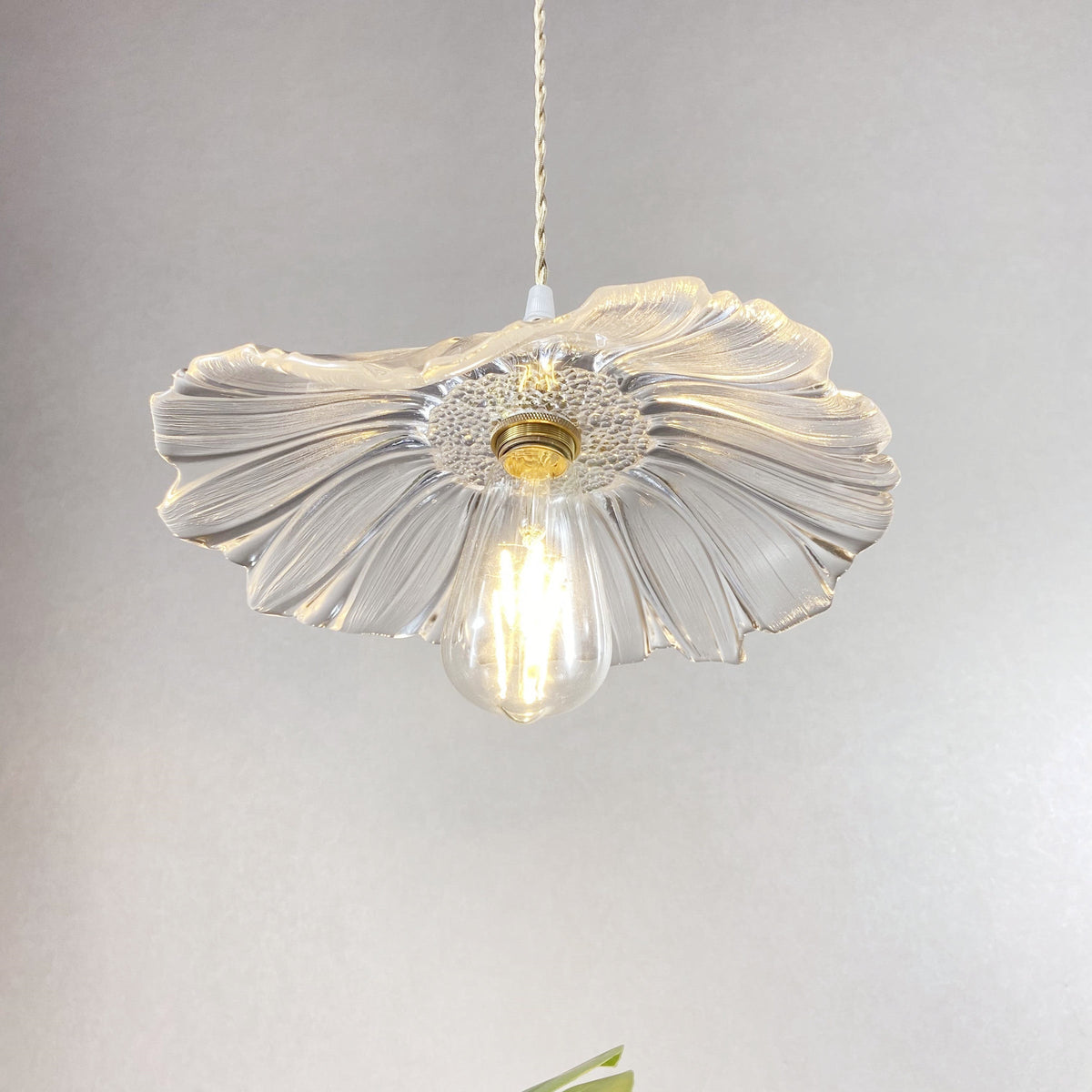 Avenivia Pendelleuchte Transparent