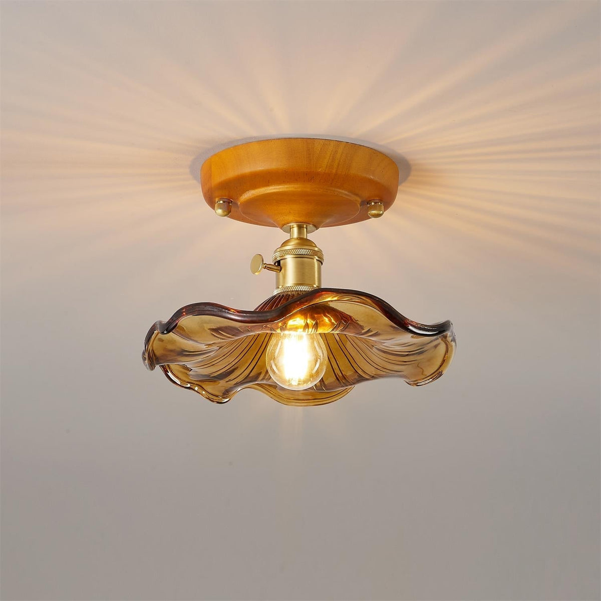 Deckenleuchte Holzbaldachin Messing & Glaslampenschirm Vintage Blumendruck Landhausstil