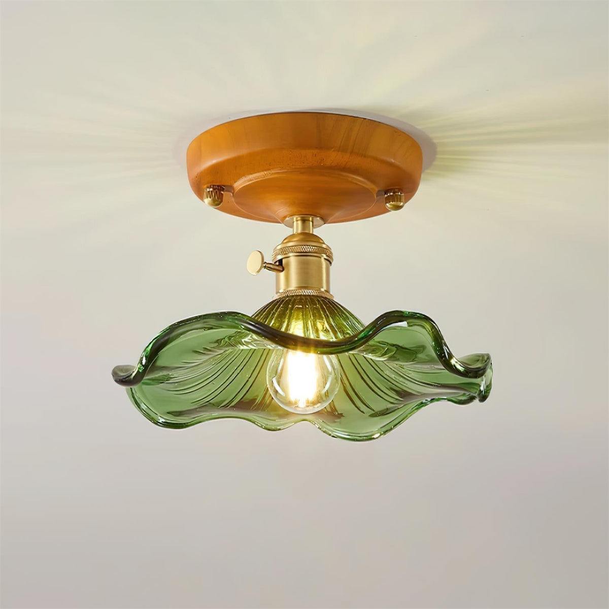 Deckenleuchte Holzbaldachin Messing & Glaslampenschirm Vintage Blumendruck Landhausstil