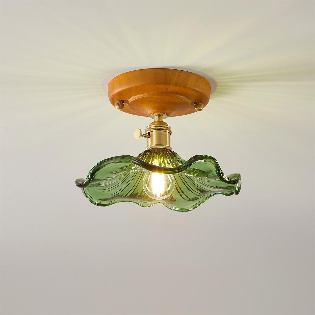 Deckenleuchte Holzbaldachin Messing & Glaslampenschirm Vintage Blumendruck Landhausstil