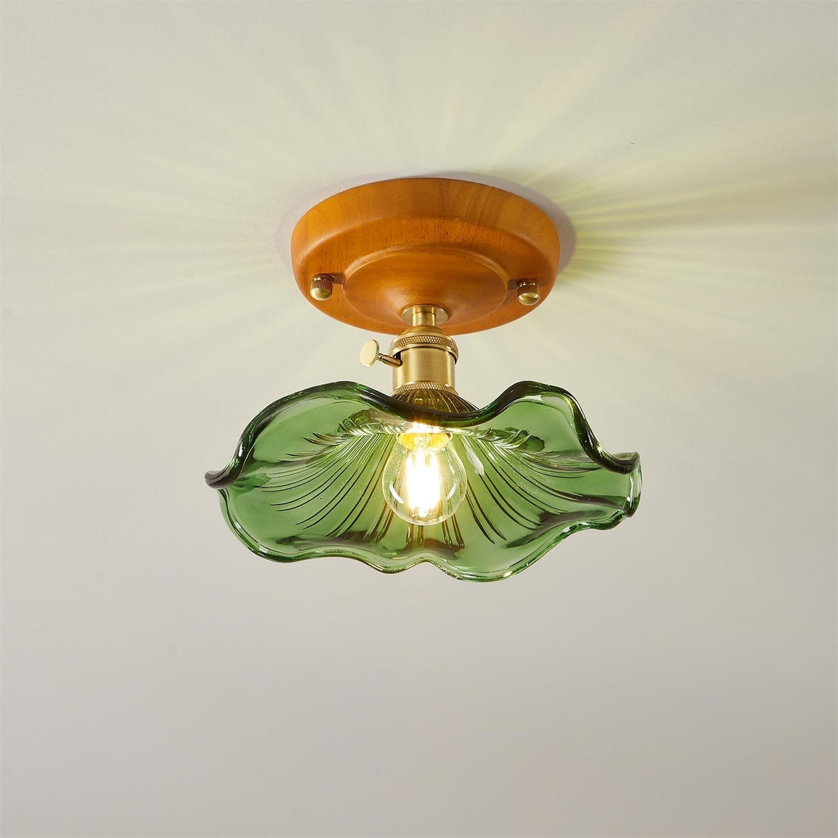Deckenleuchte Holzbaldachin Messing & Glaslampenschirm Vintage Blumendruck Landhausstil