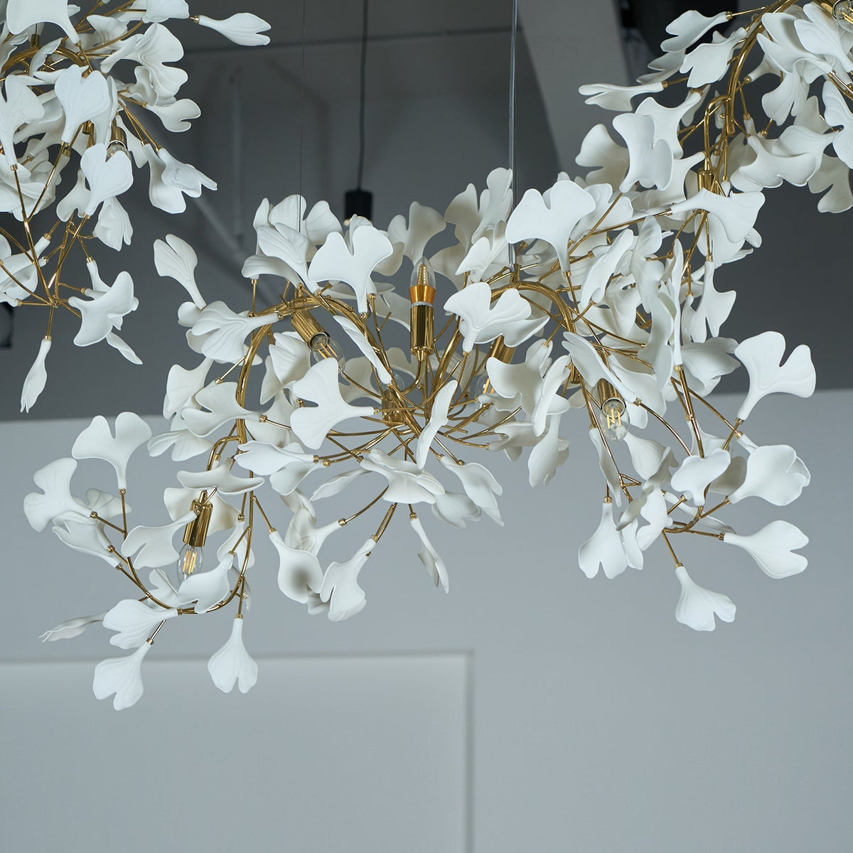 Ginkgo Kronleuchter Cluster