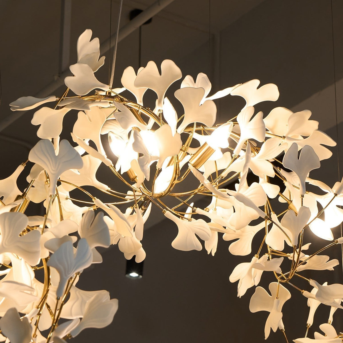 Ginkgo Kronleuchter Cluster