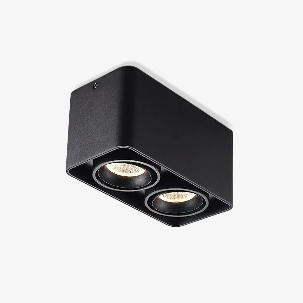 Devely Spotlightsurface-Mount-Zwillings-LED-Winkelmontierte Minimalistische Deckenleuchte