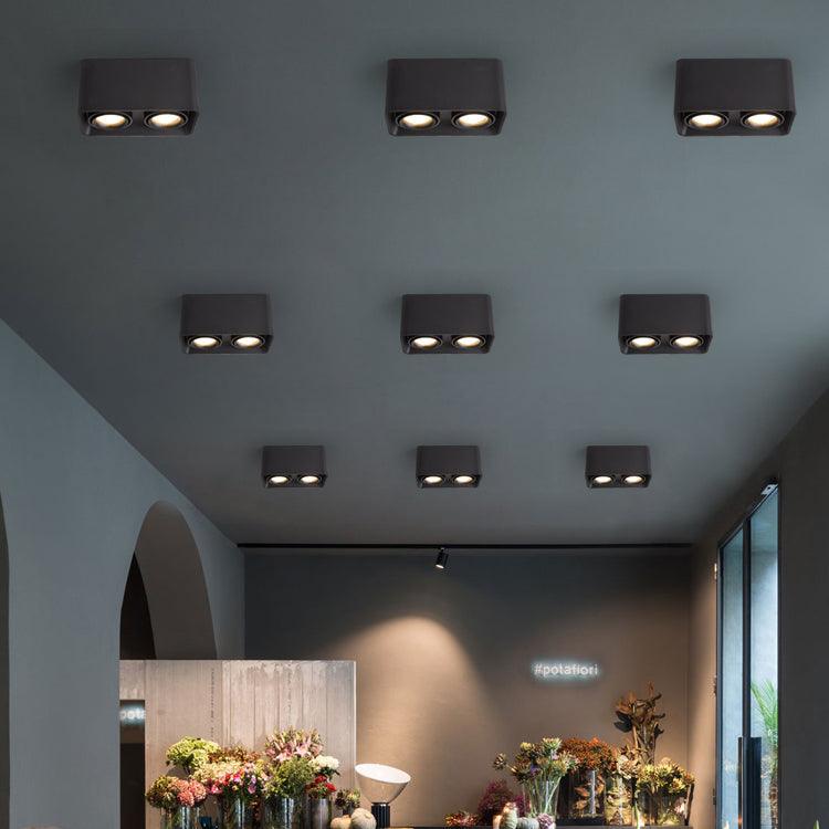 Devely Spotlightsurface-Mount-Zwillings-LED-Winkelmontierte Minimalistische Deckenleuchte