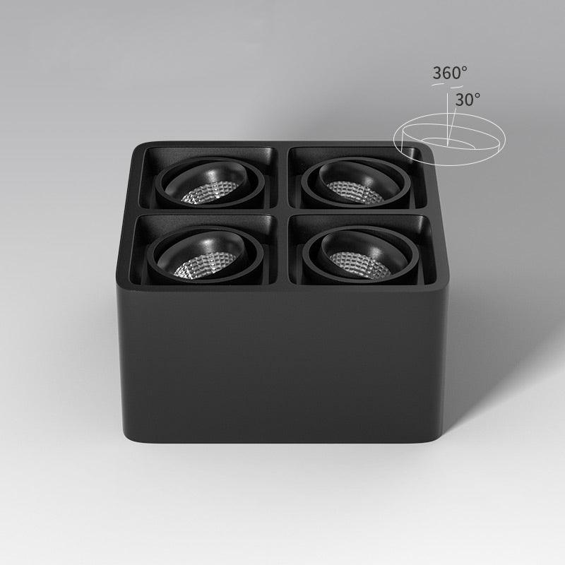 Devely Spotlightsurface-Mount-Zwillings-LED-Winkelmontierte Minimalistische Deckenleuchte