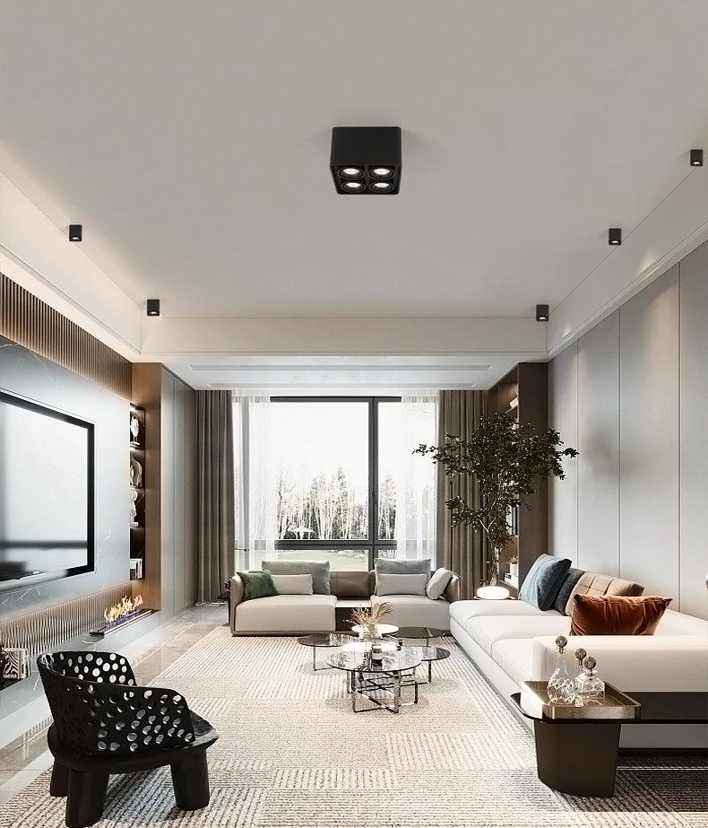 Devely Spotlightsurface-Mount-Zwillings-LED-Winkelmontierte Minimalistische Deckenleuchte
