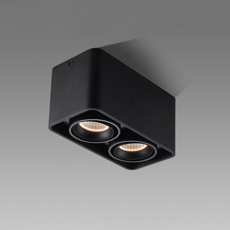 Devely Spotlightsurface-Mount-Zwillings-LED-Winkelmontierte Minimalistische Deckenleuchte