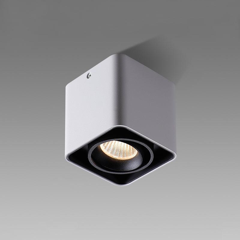 Devely Spotlightsurface-Mount-Zwillings-LED-Winkelmontierte Minimalistische Deckenleuchte