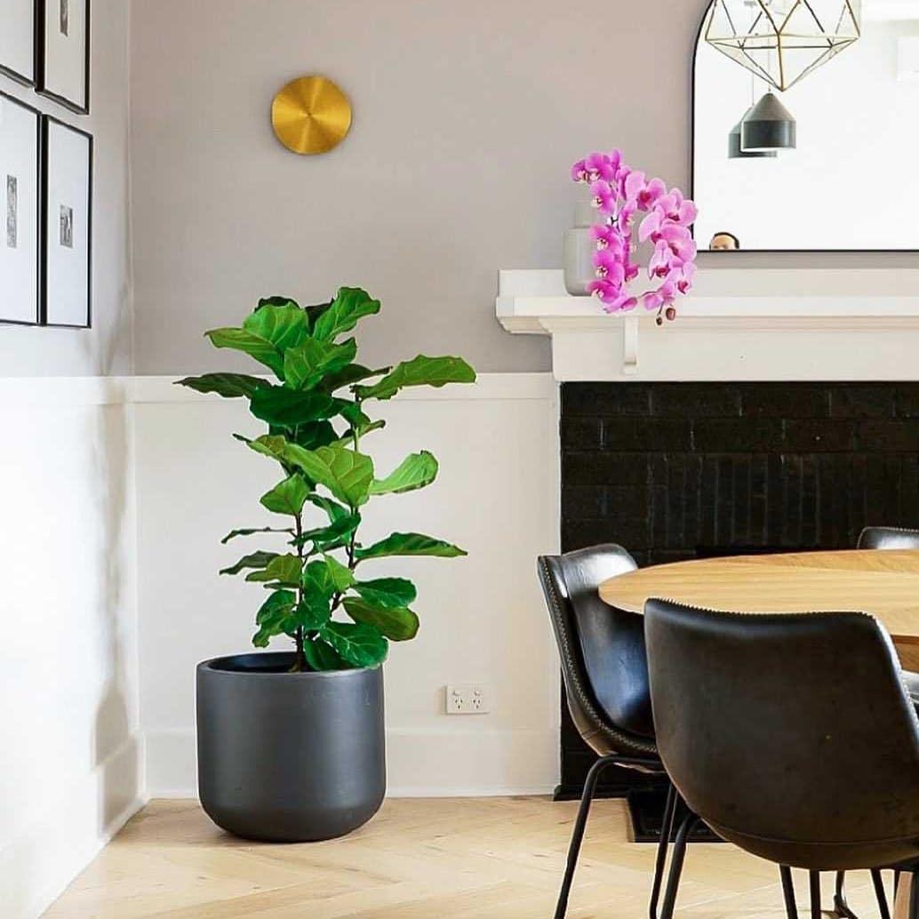 Phelan Messing Minimalistische Wandleuchte