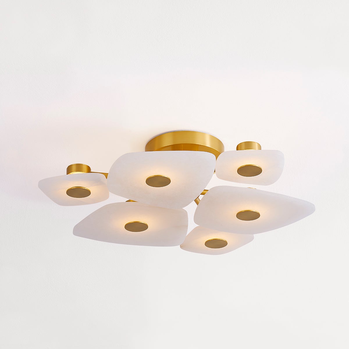 Ilsilyra Petal Shaped Glas Deckenleuchte