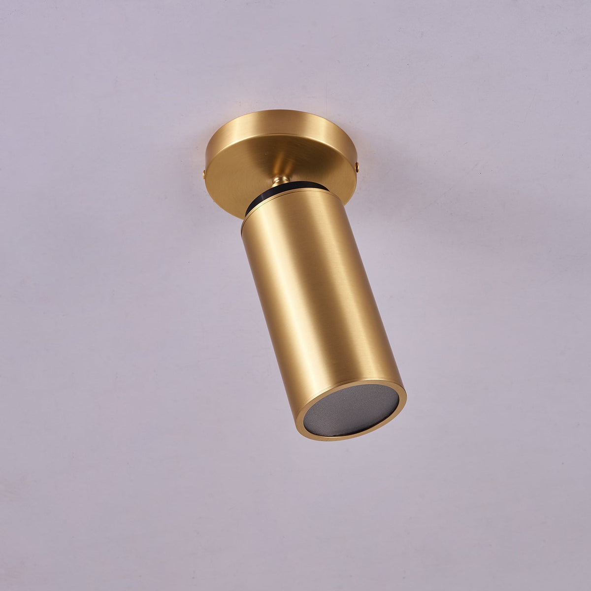 Syloran zeitgenössische minimalistische Messing-Deckenleuchte Spot Light