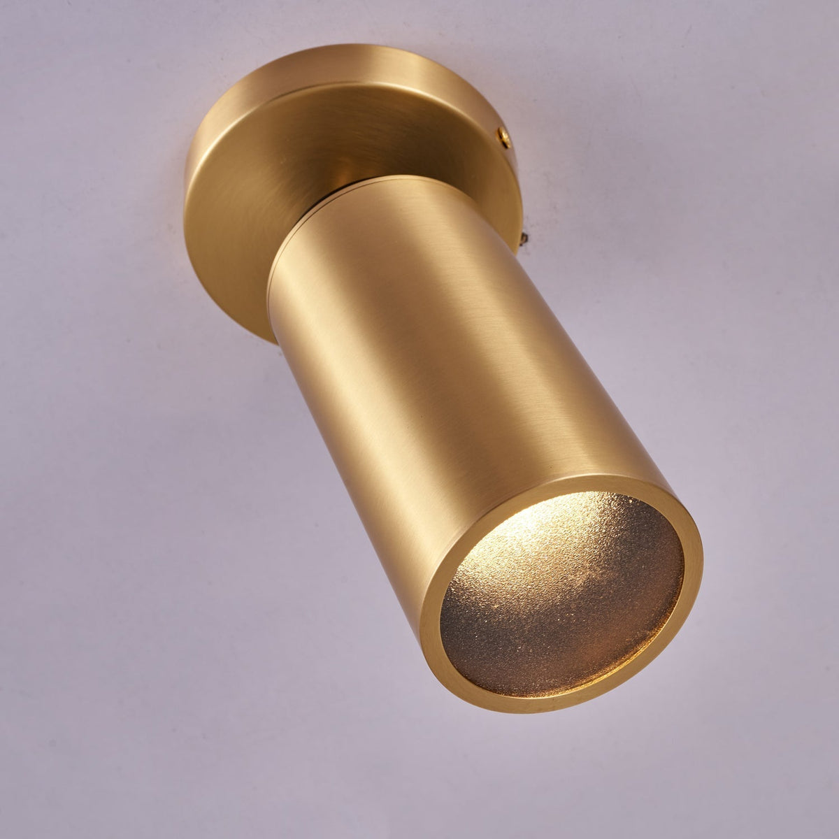 Syloran zeitgenössische minimalistische Messing-Deckenleuchte Spot Light