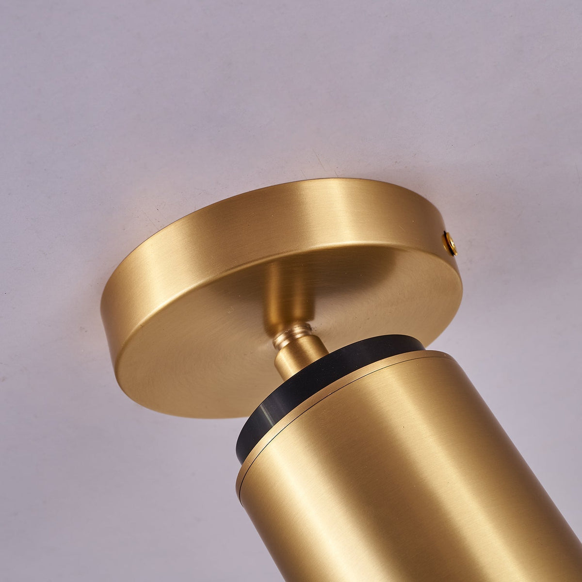 Syloran zeitgenössische minimalistische Messing-Deckenleuchte Spot Light